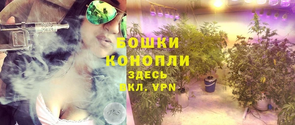 дурь Волосово