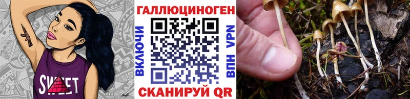 Галлюциногенные грибы Magic Shrooms  Купить где  Котельниково 